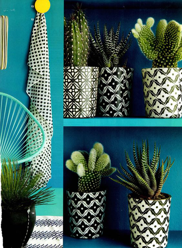 dekorasi-rak-kaktus-penuh-warna