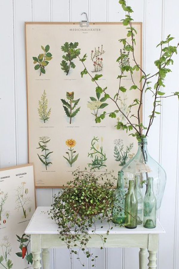 ide-tanaman-hias-cantik-dengan-meja-vintage