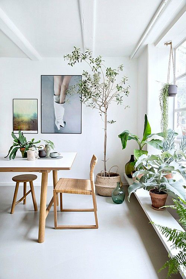 interior-minimalis-dengan-taman-dalam-ruangan