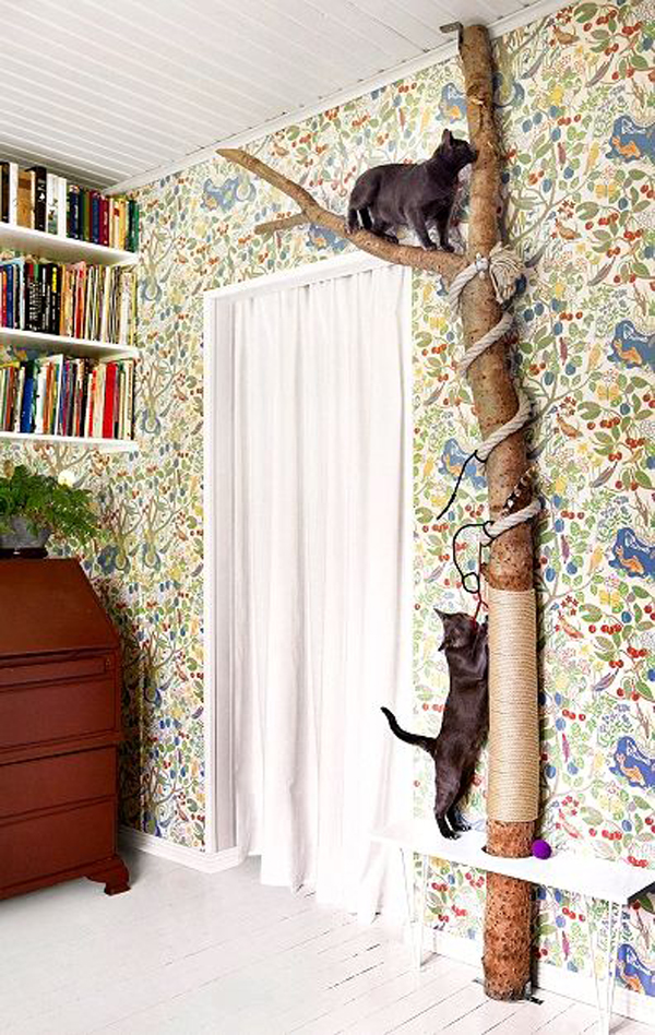 desain-pohon-kucing-keren-dalam-ruangan