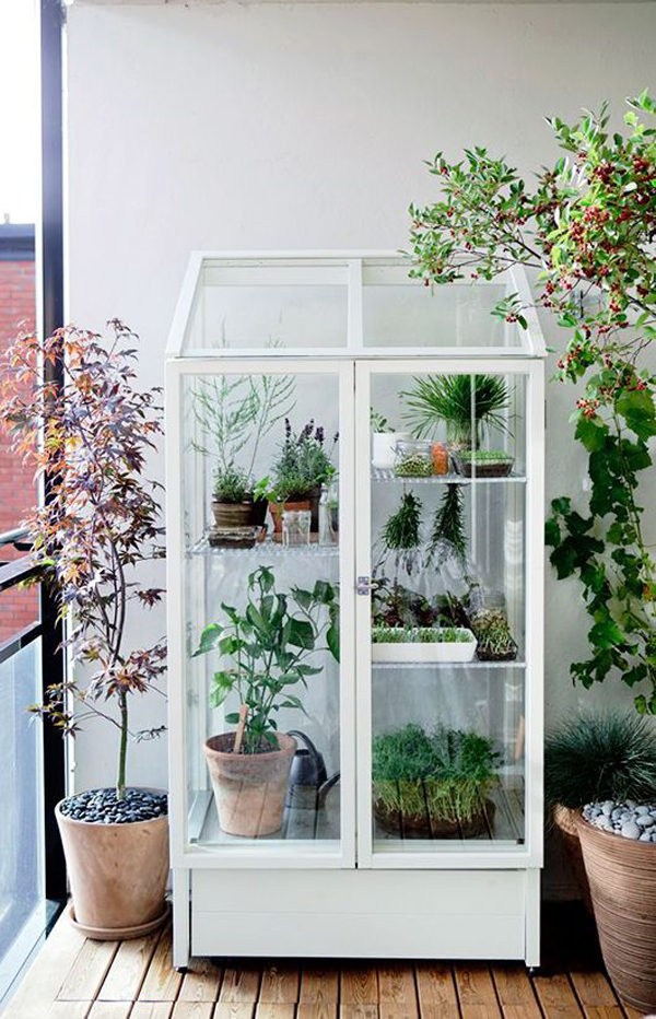 ide-greenhouse-mungil-di-balkon