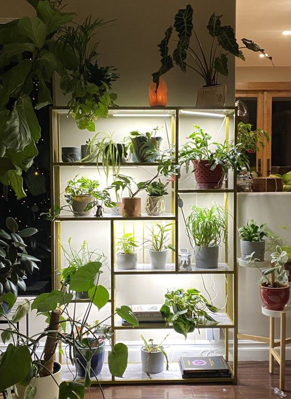 desain-lemari-dan-rak-tanaman-dalam-ruangan-dengan-pencahayaan