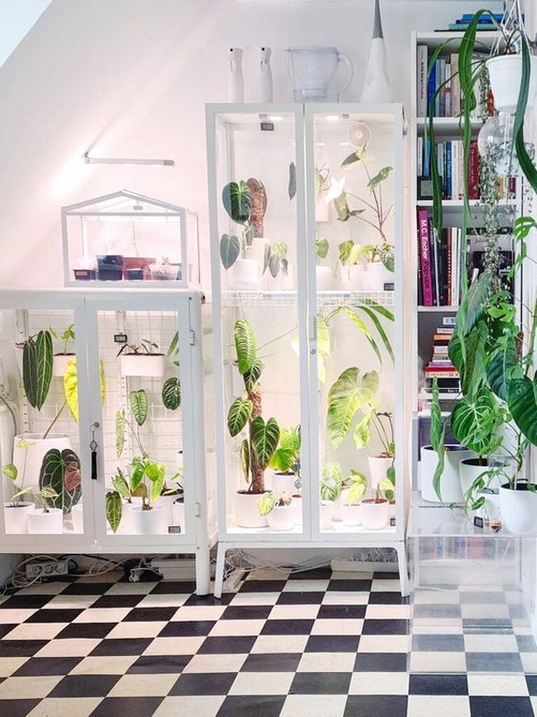 ide-greenhouse-mini-dalam-ruangan-dengan-pencahayaan
