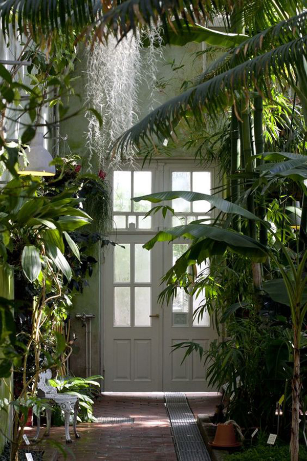 dekorasi-interior-bertema-hutan-di-pintu-depan