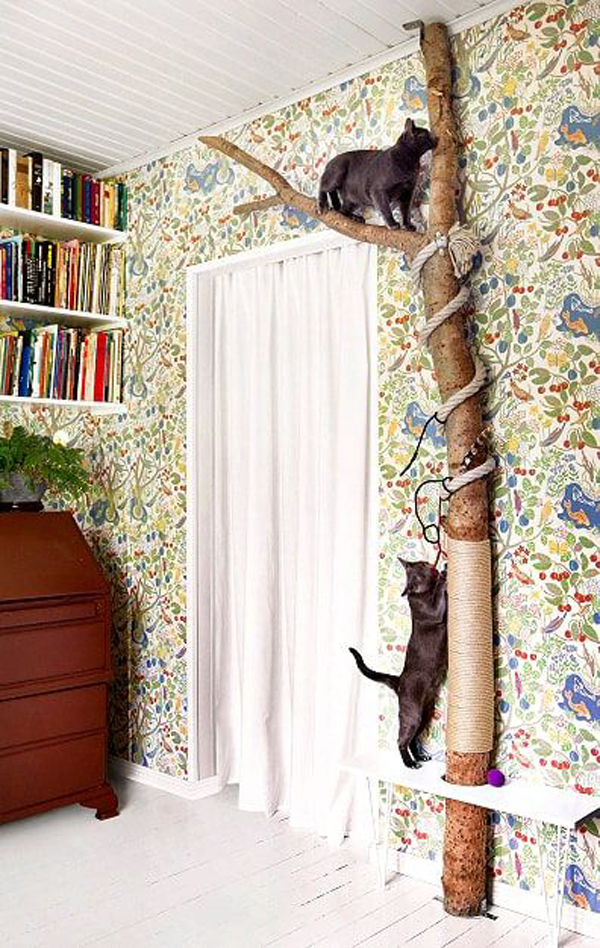 ide-pohon-kucing-diy-dalam-ruangan