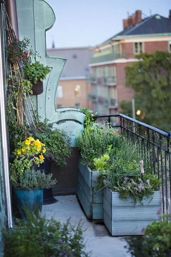 balkon-nyaman-bergaya-klasik-dengan-tanaman-hias