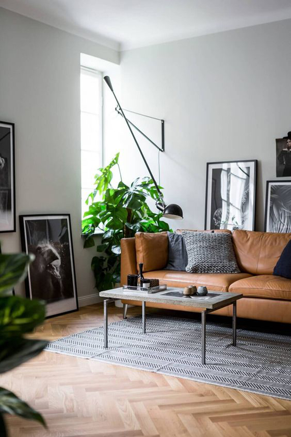 desain-sofa-kulit-estetik-dengan-tanaman-hias