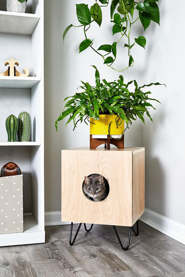 kotak-tempat-tidur-kucing-sekaligus-stand-tanaman
