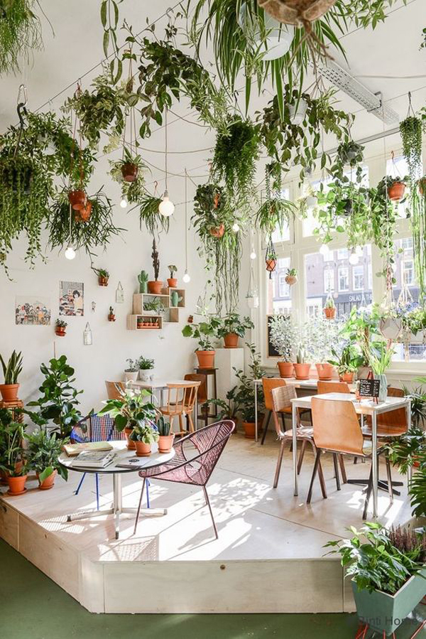 desain-taman-indoor-dengan-plafon-tanaman
